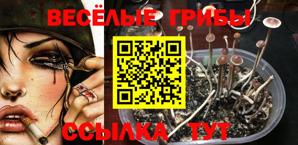 Галлюциногенные грибы MAGIC MUSHROOMS  Вход с VPN  Галлюциногенные грибы прущие грибы  Салехард 