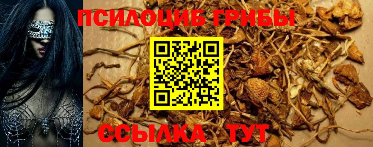 Псилоцибиновые грибы MAGIC MUSHROOMS Салехард